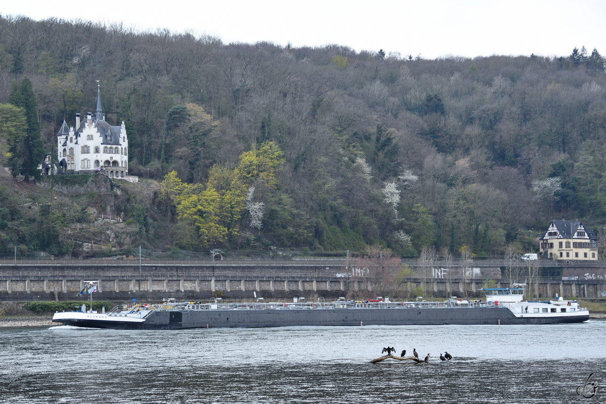 Das Tankmotorschiff ALUKARD (ENI: 02327562) war Anfang April 2021 auf dem Rhein bei Unkel zu sehen