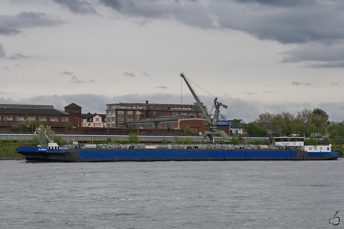 Das Tankmotorschiff AURORA (ENI: 02337712) auf dem Rhein, so gesehen Anfang Mai 2021 in Duisburg. 