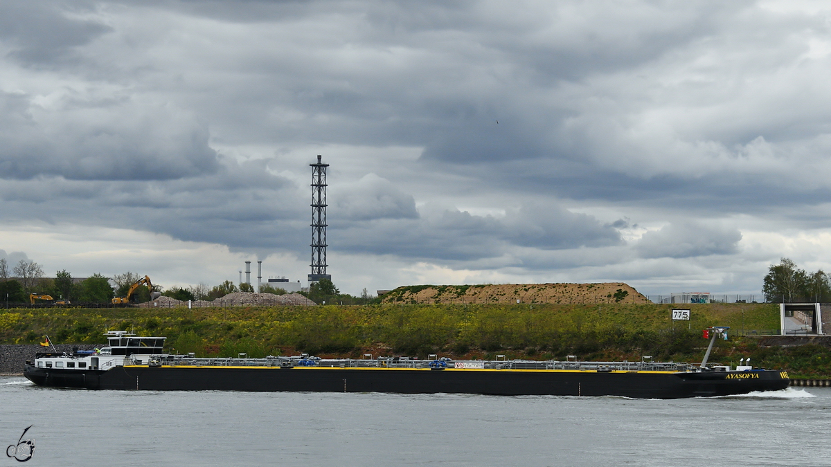 Das Tankmotorschiff AYASOFYA (ENI: 02337521) Anfang Mai 2021 auf dem Rhein bei Duisburg.