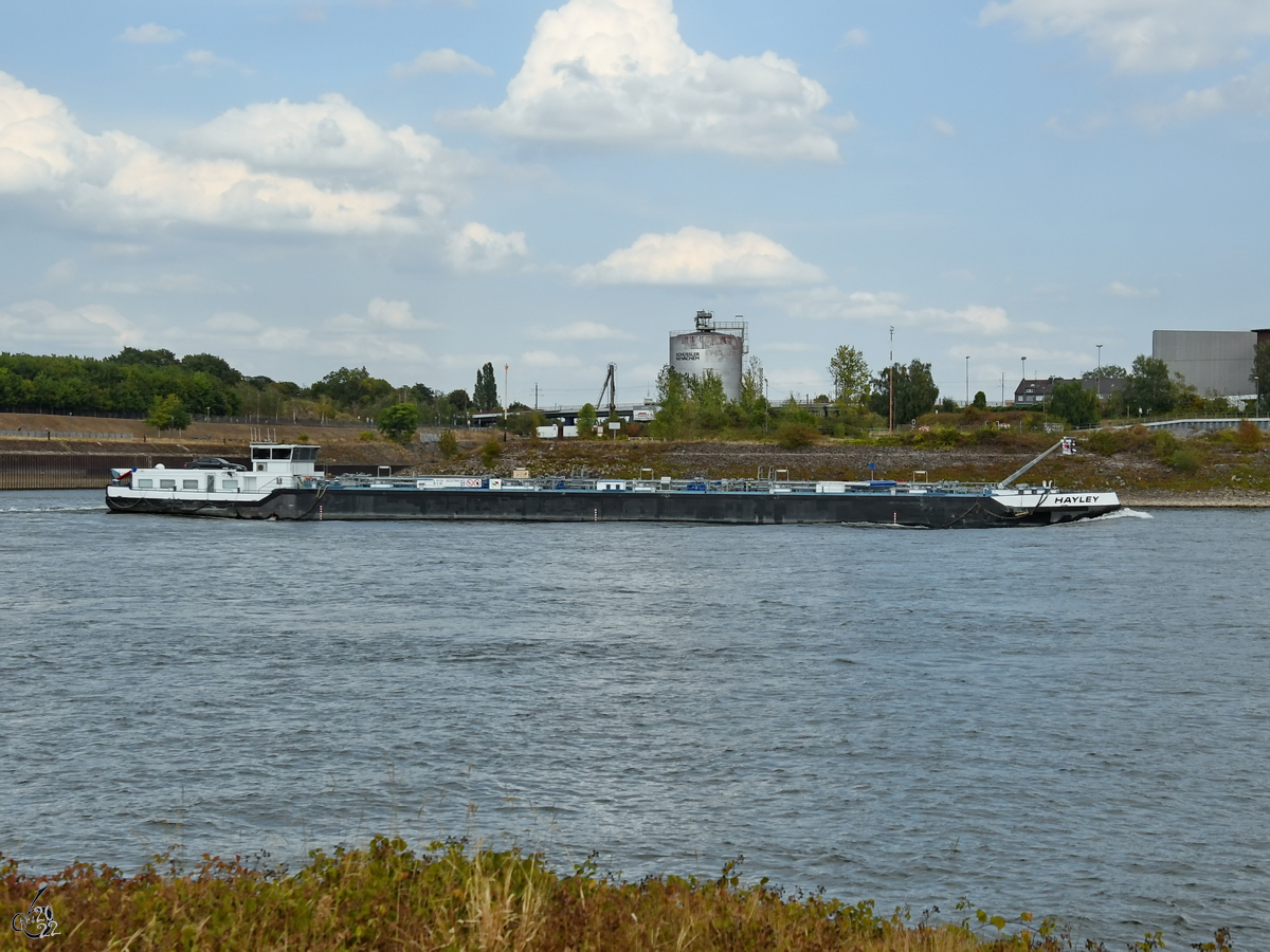 Das Tankmotorschiff HAYLEY (ENI: 04015020) war Ende August 2022 in Duisburg zu sehen.