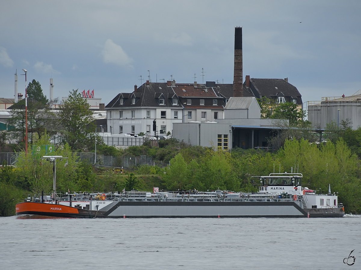 Das Tankmotorschiff MARINA (ENI: 08040008) war Anfang Mai 2021 auf dem Rhein bei Duisburg zu sehen.