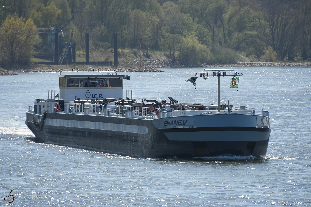Das Tankmotorschiff SHANE V (ENI: 04805500) auf dem Rhein unterwegs. (Duisburg, April 2021)