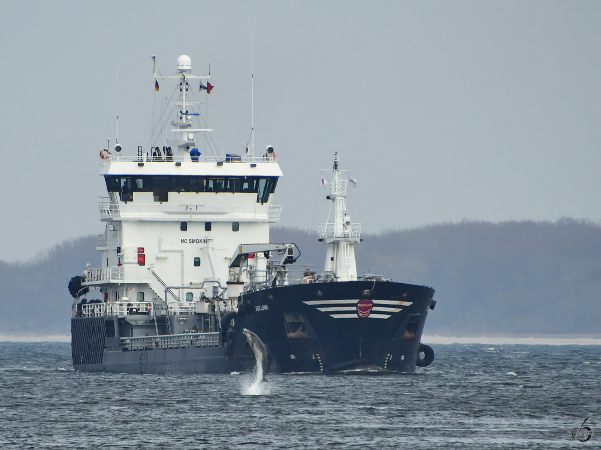 Das Tankschiff FOX LUNA (IMO: 9390458) wurde Anfang Mai 2023 vom Travemünder  Schiffsempfangsdelfin  begrüßt.