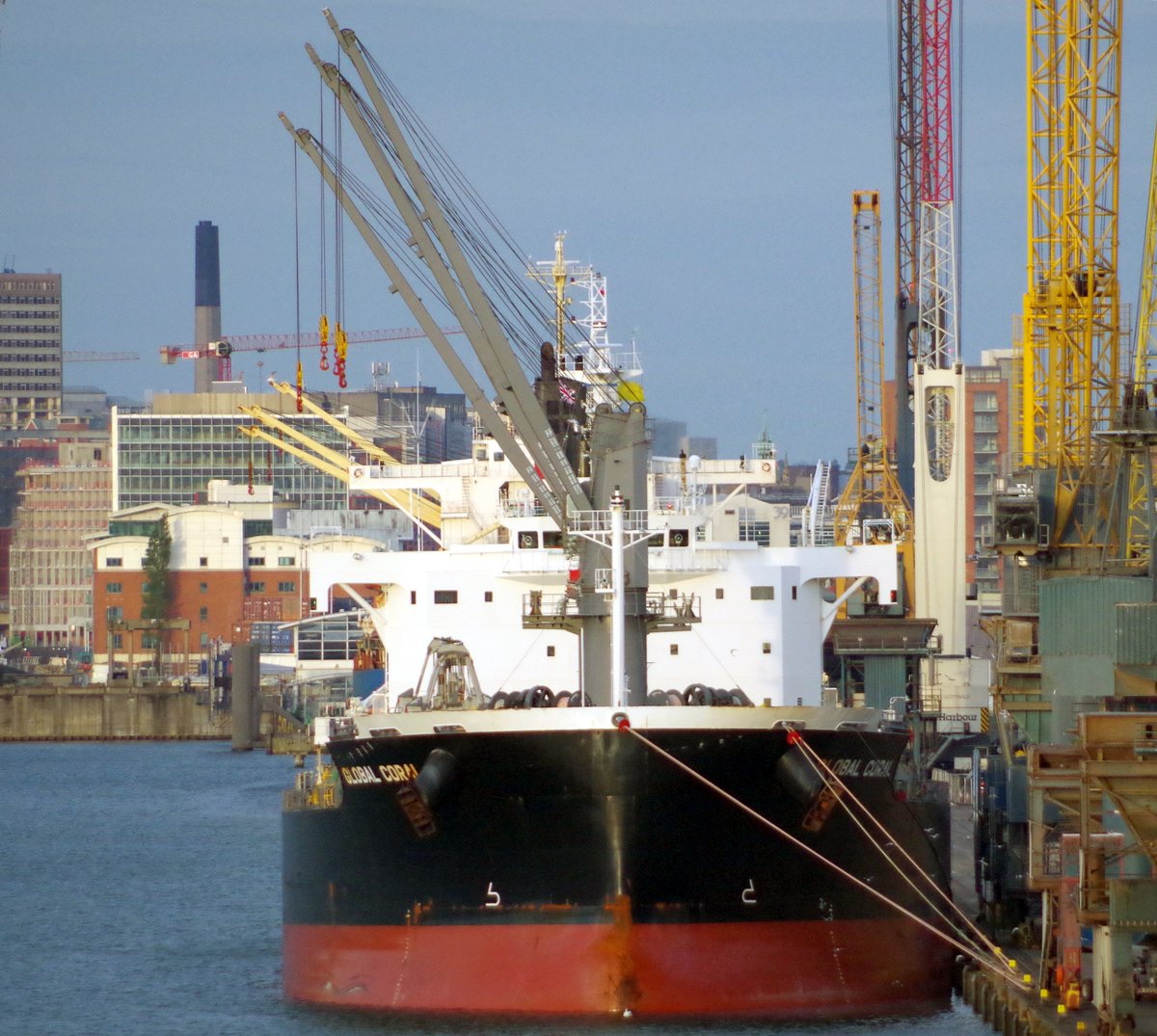 Der 183m lange Massengutfrachter (BULKER) GLOBAL CORAL am 01.06.17 in Belfast