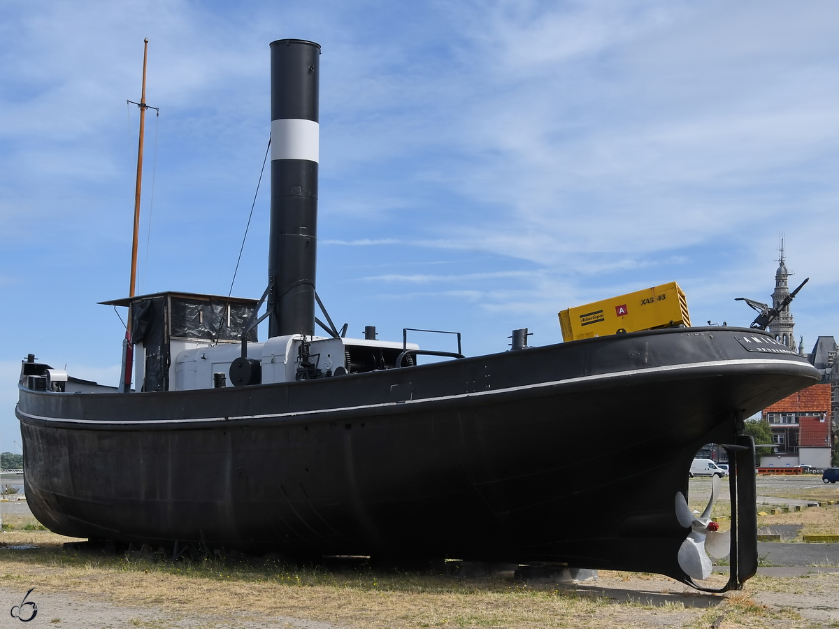 Der 1914 gebaute Dampfschlepper  Amical  Ende Juli 2018 in Antwerpen.