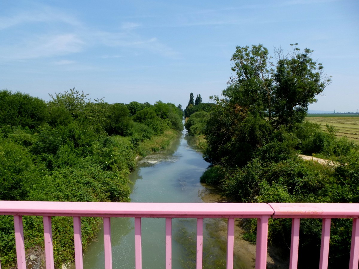 der alte Rhein-Rhone-Kanal bei Dessenheim im Oberelsa, der unbenutzte Kanal wird  nach und nach wieder von der Natur eingenommen, Juli 2013