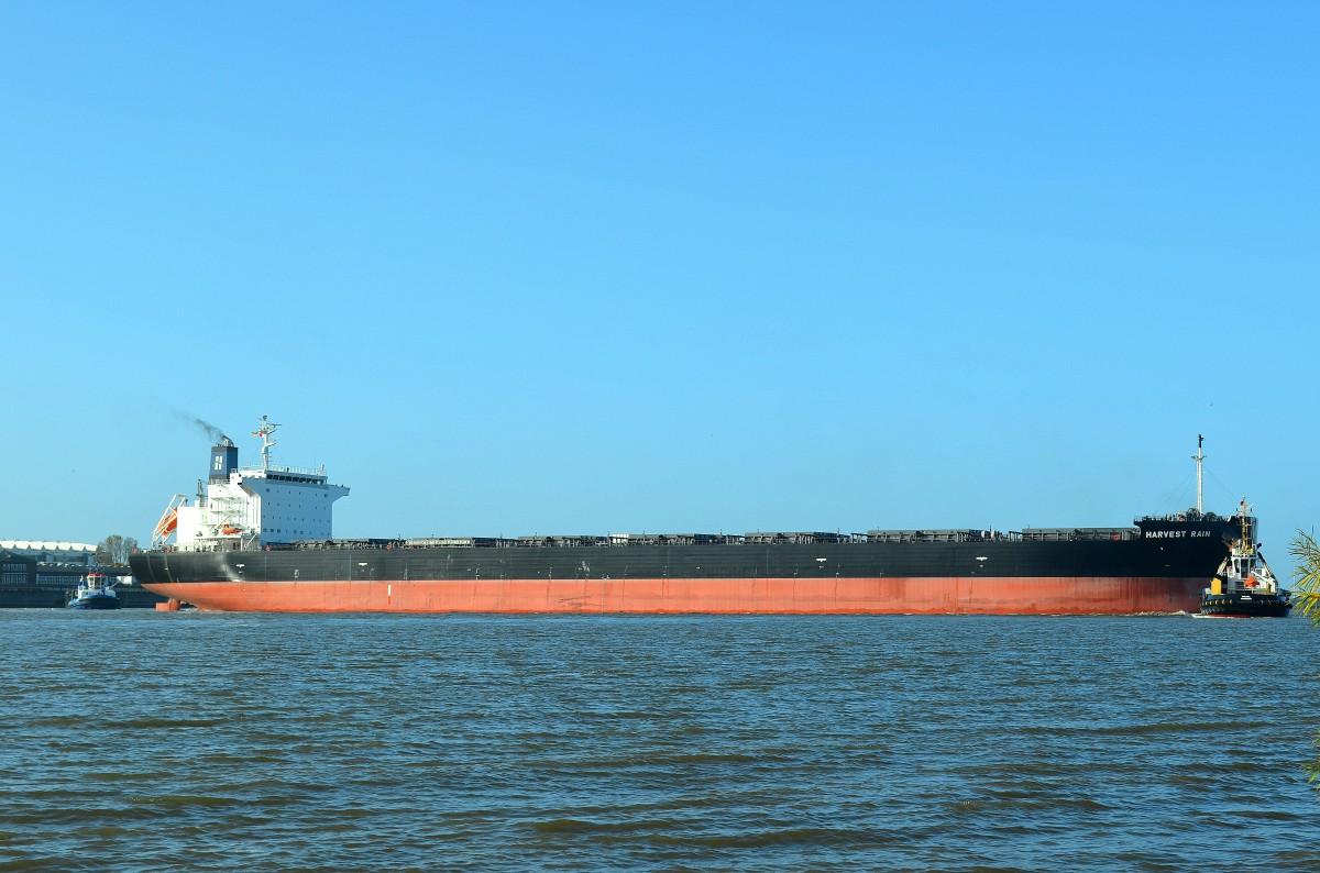 Der Bulker Harvest Rain IMO-Nummer:9643893 Flagge:Marshallinseln Länge:237.0m Breite:40.0m Baujahr:2015 beim wenden auf der höhe Airbus Werk Finkenwerder am 23.10.15