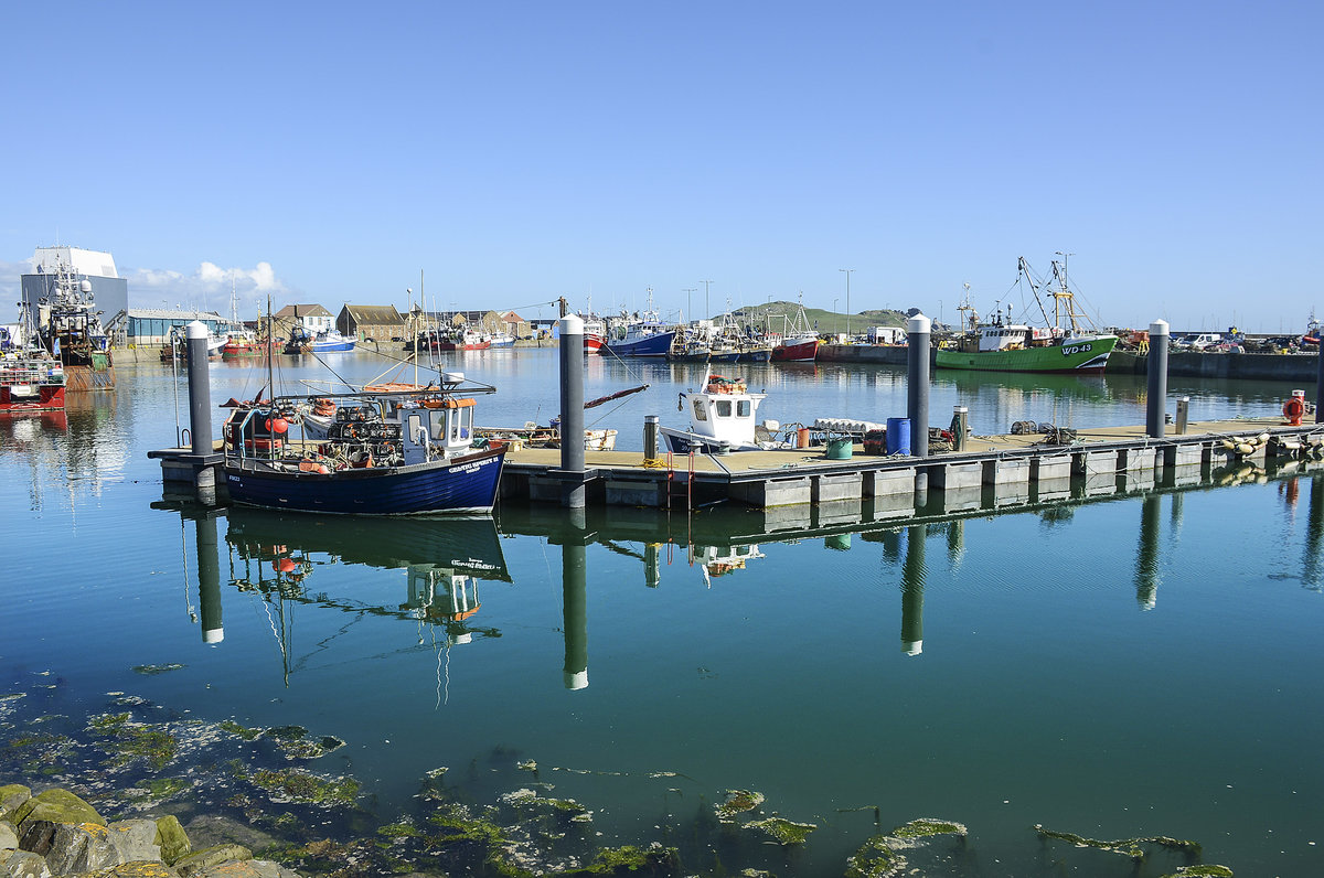 Der einstige Fischerort Howth (Irland) ist heute ein zu Recht beliebtes Ausflugsziel der Dubliner. Früher war hier ein wichtiger Hafen für Waren nach Dublin.
Aufnahme: 11. Mai 2018.