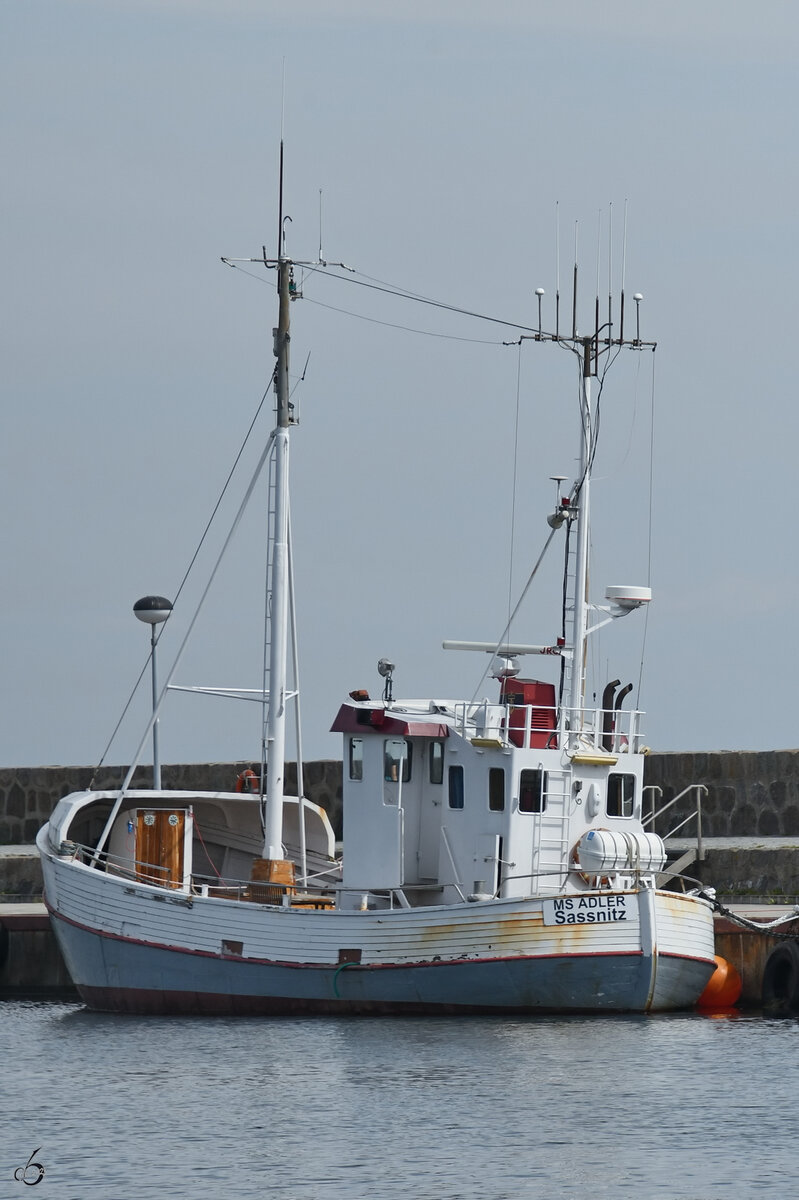 Der Fischkutter MS ADLER ist hier im August 2023 an der Ostmole in Sassnitz zu sehen.