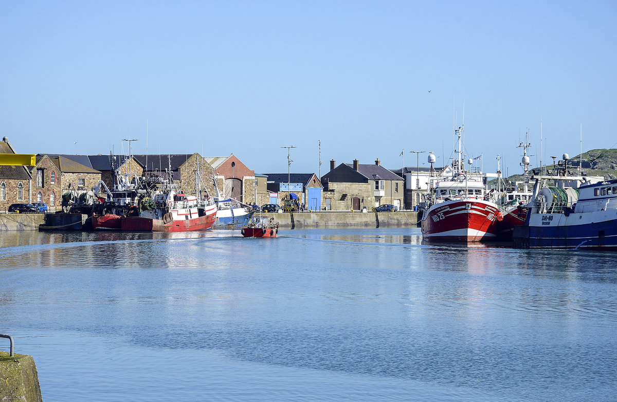 Der Hafen von Howth vm Fisher's Cross aus gesehen. Am West Pier gibt es ein paar Restaurants. Spannend zum spazieren ist der East Pier: Auf ihm kann man zwischen Hafenbecken und der Irischen See bis zum Leuchtturm der Hafeneinfahrt laufen und hat eine super Aussicht auf die Insel Ireland's Eye.
Aufnahme: 11. Mai 2018.