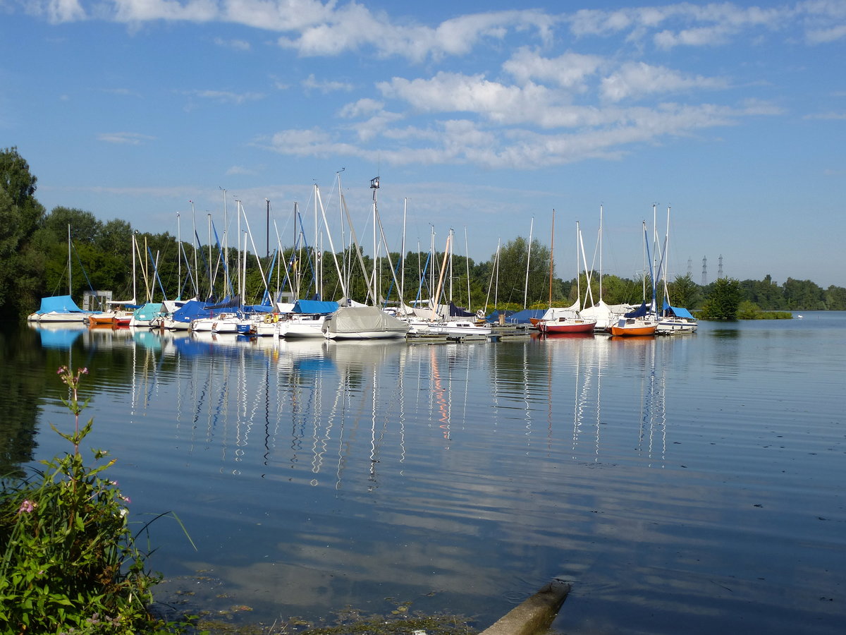 der kleine Segelhafen Marlen am Rhein, sdlich von Kehl, Aug.2016