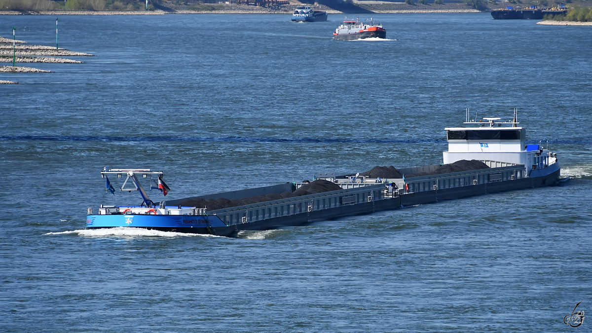 Der Koppelverband REINHOLD DEYMANN (ENI: 02338773), unterwegs im April 2021 auf dem Rhein bei Duisburg.