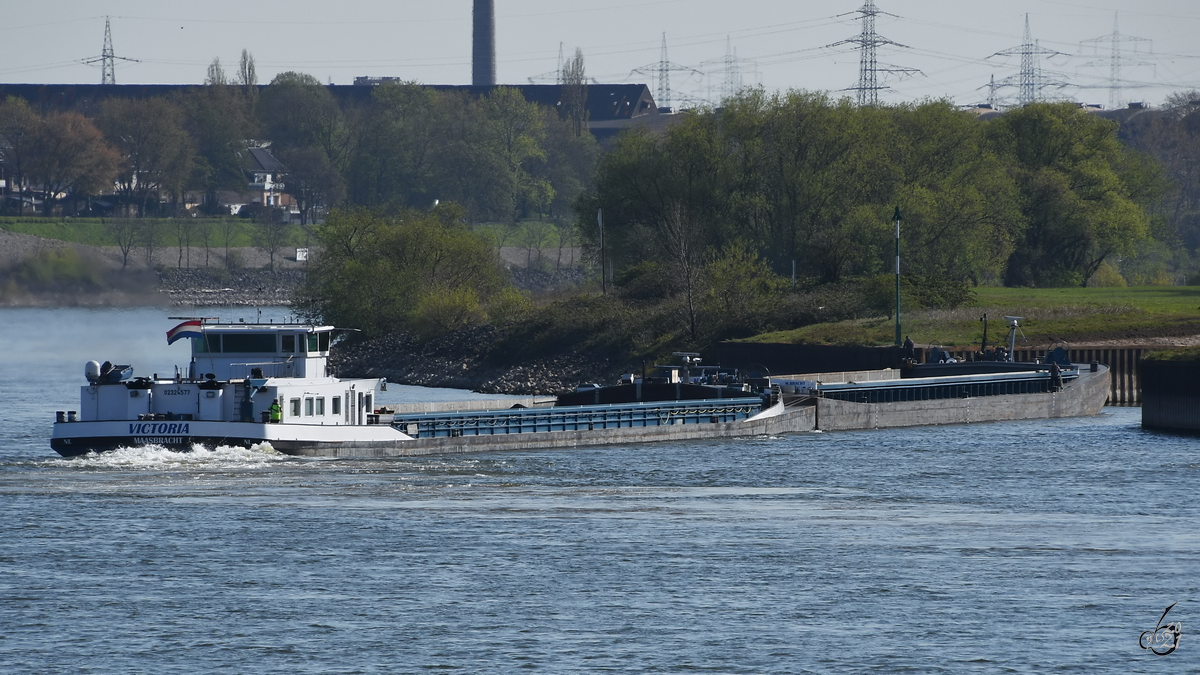 Der Koppelverband VICTORIA (ENI: 02324577) auf dem Weg zum Duisburg Trimodal Terminal. (April 2021)