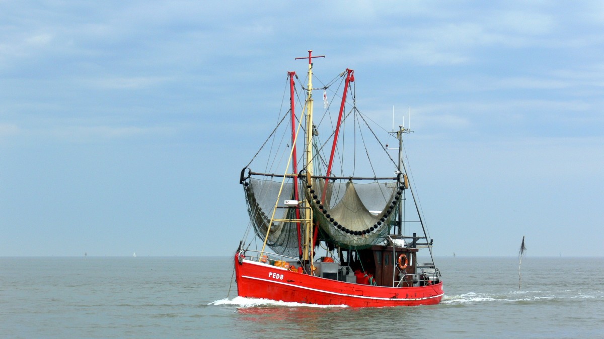 Der Krabbenkutter Anita am 20.05.2012 bei der Einfahrt in den Hafen von Fedderwardersiel, sie ist 14,76m lang und 4,53m breit. Bj. 1956. Die Anita wurde im Dez. 2012 nach Büsum Verkauft.