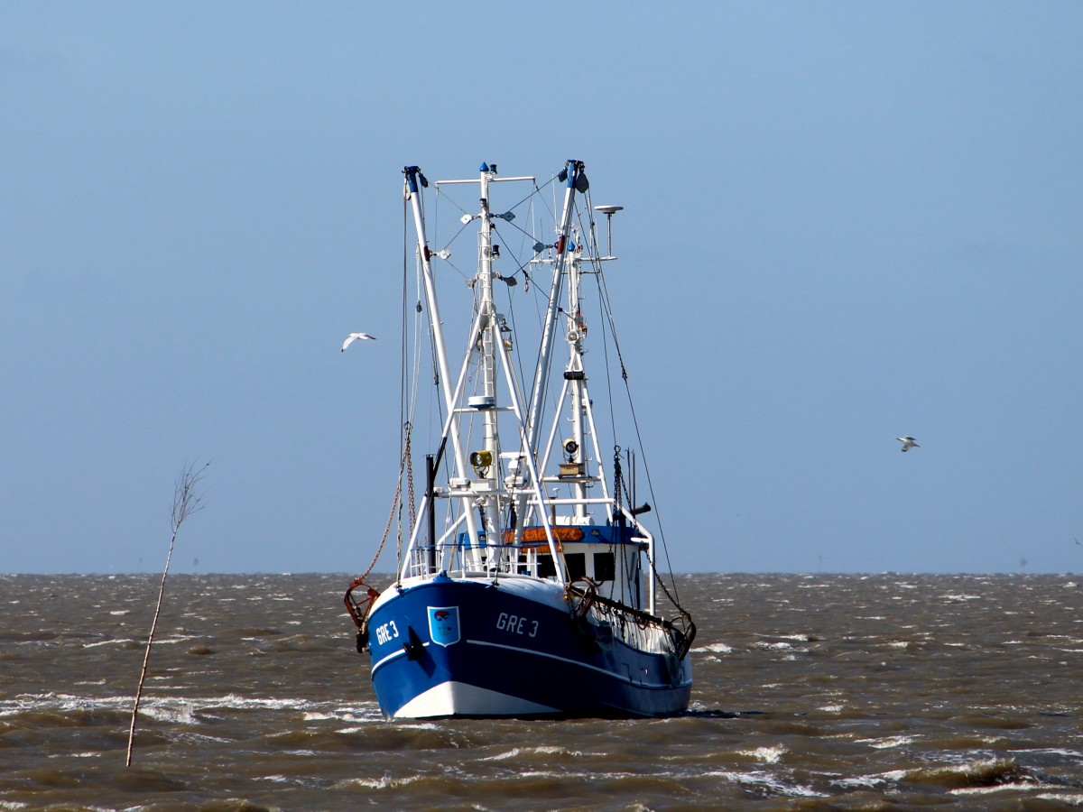 Der Krabbenkutter GRE3 Germania am 14.06.2014 vor Fedderwardersiel auf einer Sandbank