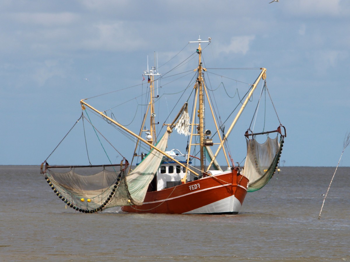 Der Krabbenkutter Ostwind vor Fedderwardersiel.