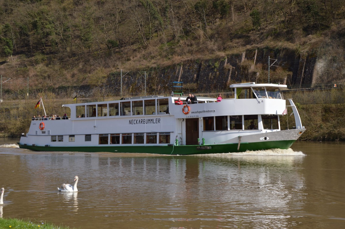 Der Neckarbummler auf dem Rückweg von der Schleuse Neckarzimmern, wo das Schiff kehrt machte und hier bei Haßmersheim nun wieder auf dem Rückweg nach Heilbronn ist. 3.4.2015