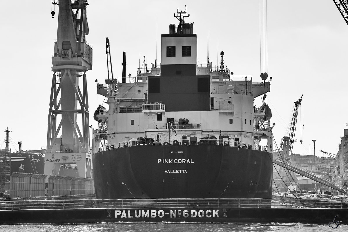 Der Öl-/Chemikalientanker  Pink Coral  im Trockendock. (Valletta, Oktober 2017)