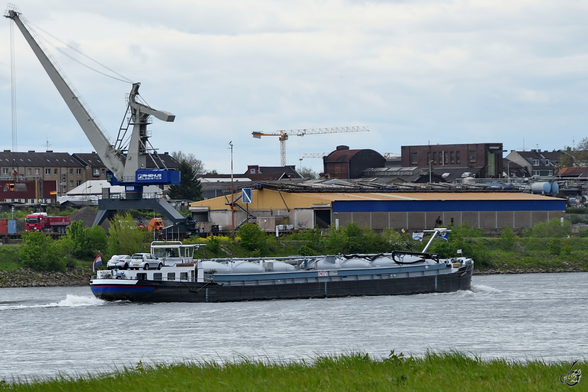 Der Pulvertanker RODORT-8 (ENI: 02315694) war Anfang Mai 2021 auf dem Rhein bei Duisburg zu sehen.