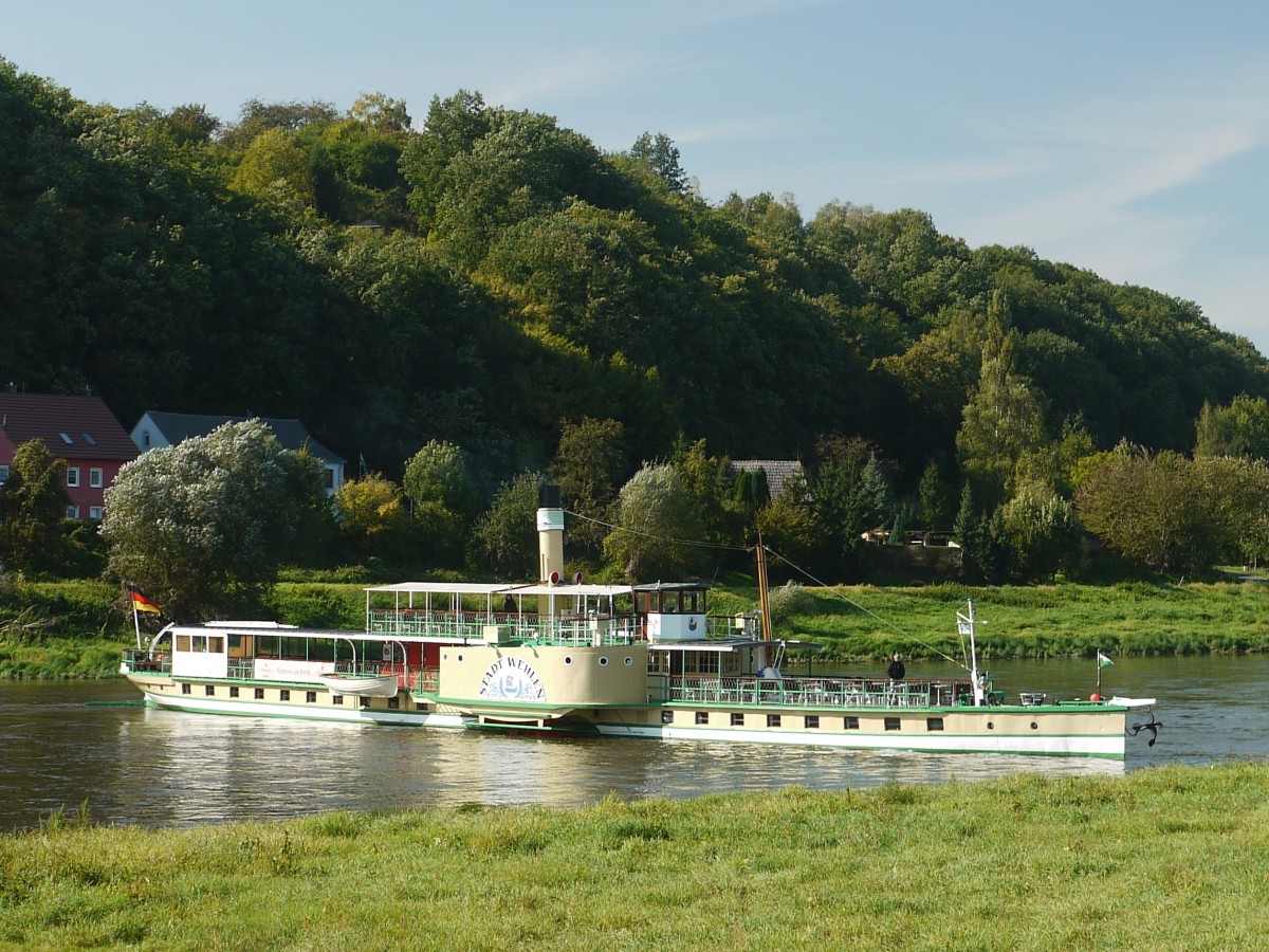 Der Schaufelraddampfer  STADT WEHLEN  (ex MHLBERG, ex DRESDEN), Baujahr 1879 die Elbe zu Tal kommend wendet bei Zehren und luft dann Heck voraus weiter nach Diesbar; 30.09.2013 - warum dieses Manver?
