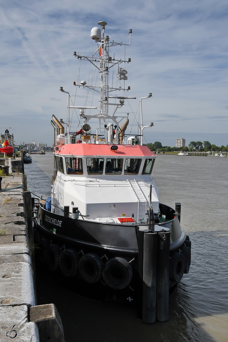 Der Schlepper  Zeeschelde  (IMO: 9641596) Ende Juli 2018 in Antwerpen.