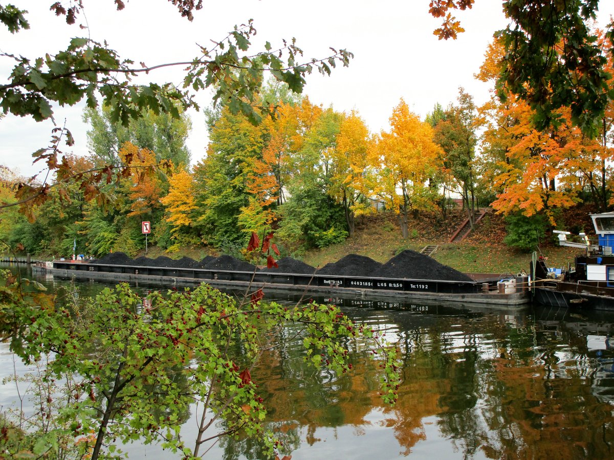 Der Schubleichter A3 (04031850 , 65 x 9,50m) lag am 21.10.2020 , von herbstlichen Farben eingehüllt , im Berlin-Spandauer-Schifffahrtskanal Höhe Kraftwerk Berlin-Moabit.