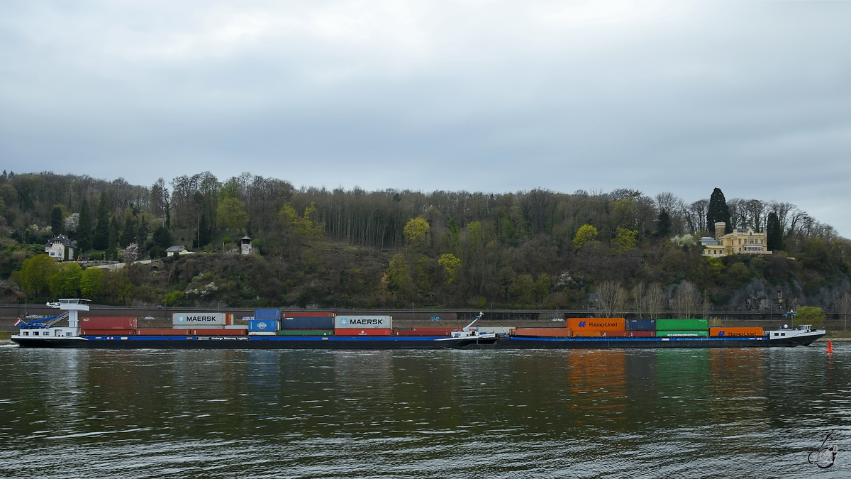 Der Schubverband ARIZONA (ENI: 07001635) ist hier Anfang April 2021 auf dem Rhein bei Unkel zu sehen.