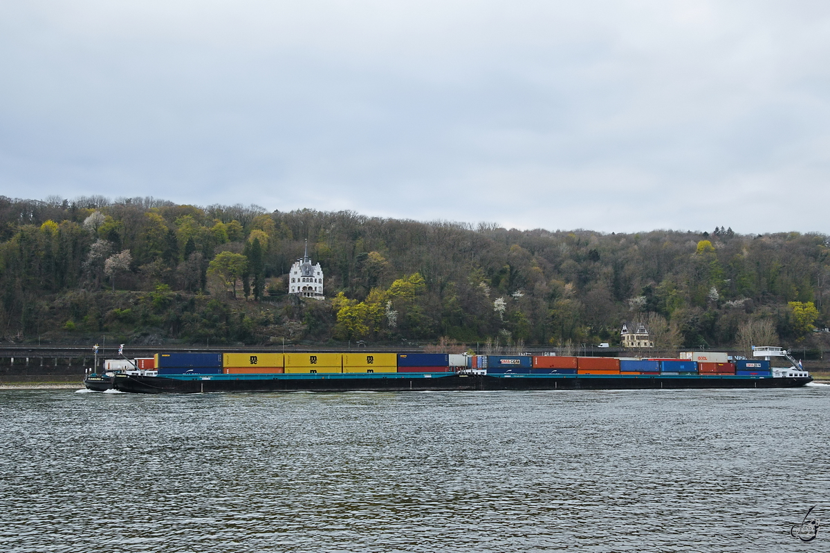 Der Schubverband CAMARO (ENI: 02314266) ist hier Anfang April 2021 auf dem Rhein bei Unkel zu sehen.