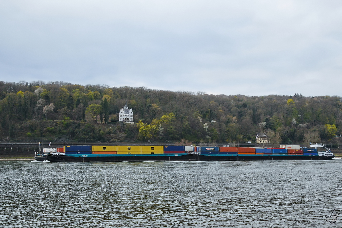 Der Schubverband CAMARO (ENI: 02314266) ist hier Anfang April 2021 auf dem Rhein bei Unkel zu sehen.