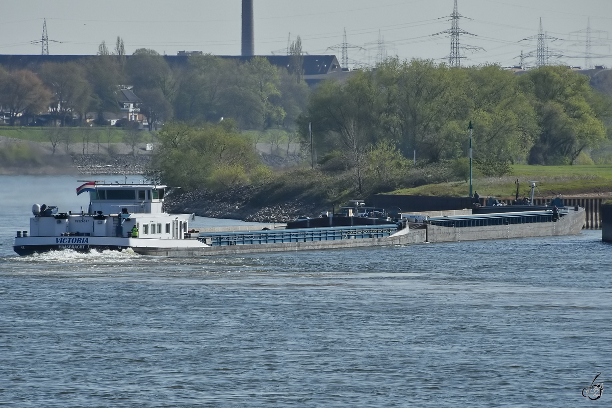 Der Schubverband VICTORIA (ENI: 02324577) auf dem Weg zum Logport I Terminal, so gesehen Mitte April 2021 in Duisburg.