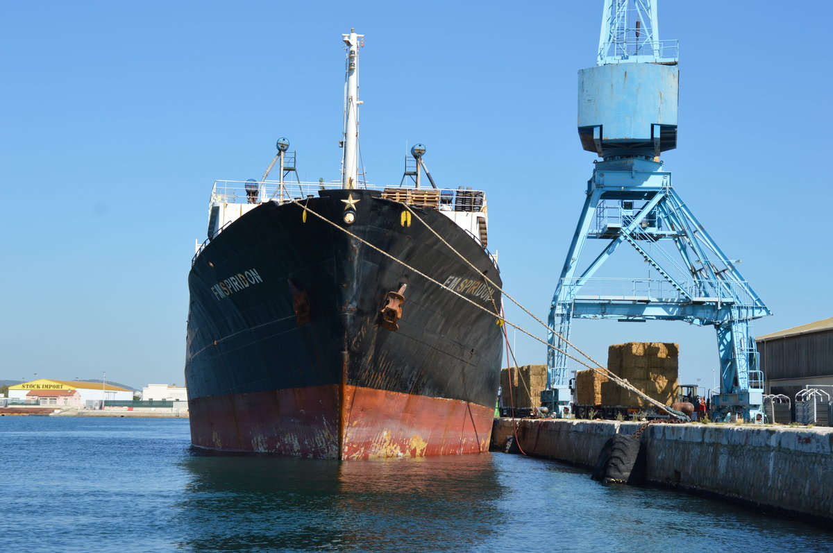 Der Tiertransporter F.M. Spiridon (Baujahr 1973, Länge 97.31m) am 28.09.2016 im französischen Mittelmeer-Hafen von Sete.