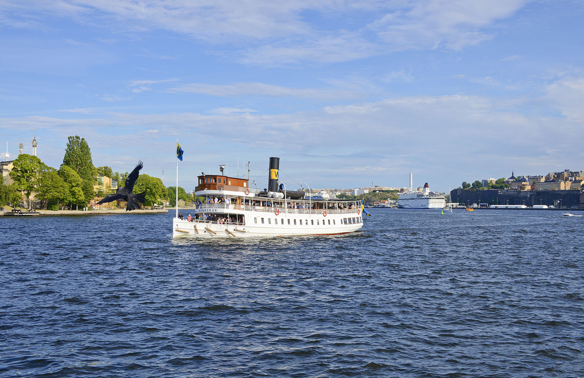 Die »Norrskär« (in Stockholm aufgenommen) ist knapp 35 Meter lang und nicht einmal sieben Meter breit. Das Dampfschiff wurde 1910 in Göteborg gebaut. Aufnahme: 27. Juli 2017.