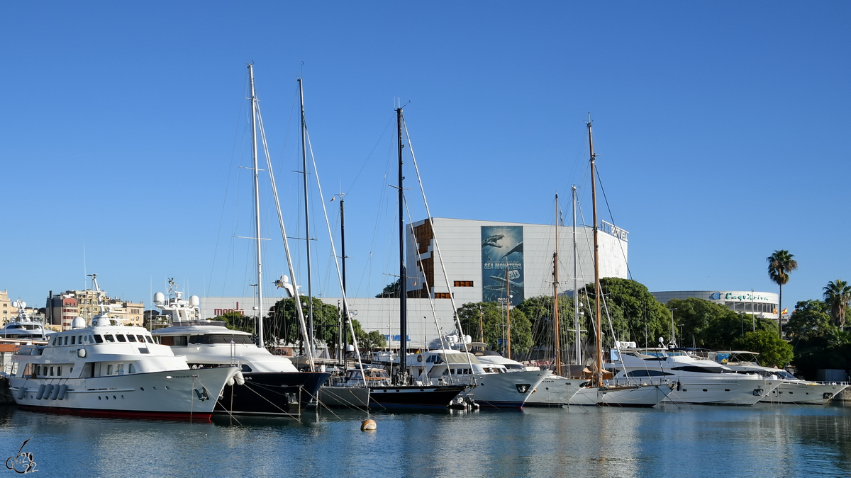 Die 1989 gebaute Jacht DANAE (IMO: 1001336) führt die Reihe weiterer Segel- und Motorjachten im Hafen von Barcelona an. (November 2022)