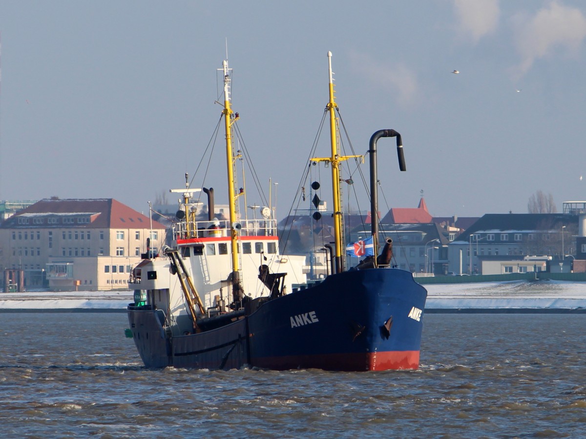 Die Anke am 28.01.2014 vor Blexen auf der Weser.