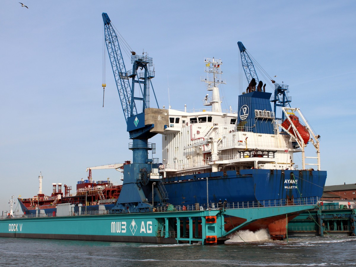 Die Ayane am 24.02.2014 im Dock V. Sie ist 144m lang und 23m breit.