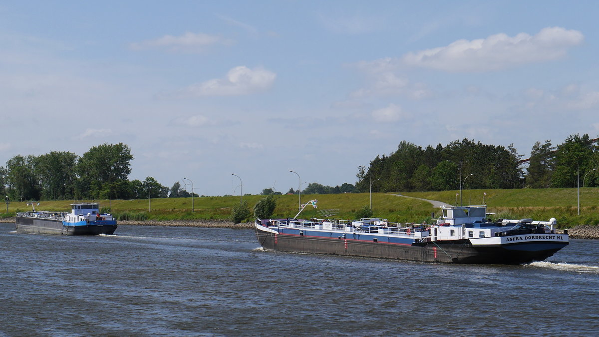 Die beiden TMS ASFRA, Dortrecht 02321983 und WALTER DEYMANN 04807460 Haren/Ems im unteren Schleusenkanal Geesthacht die Elbe zu Tal; 10.06.2016
