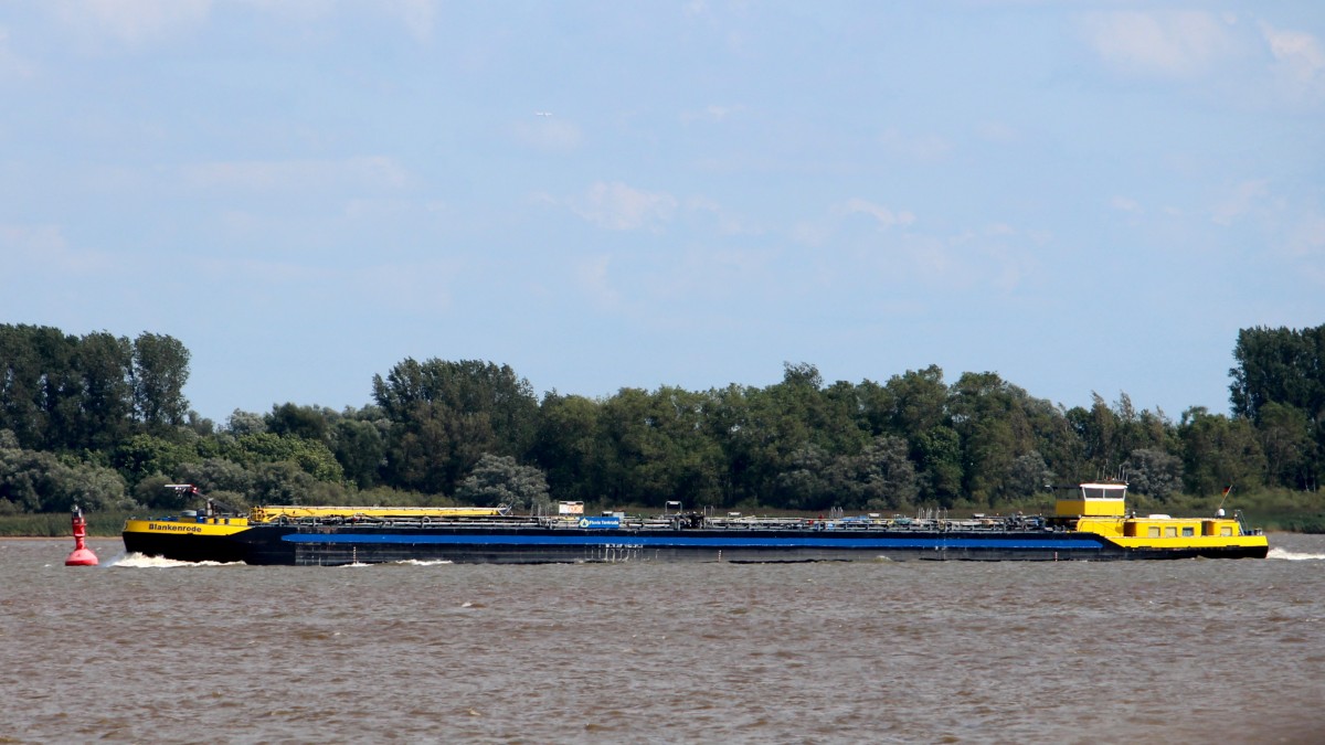 Die Blankenrode am 13.08.2014 auf der Elbe vor Krautsand.