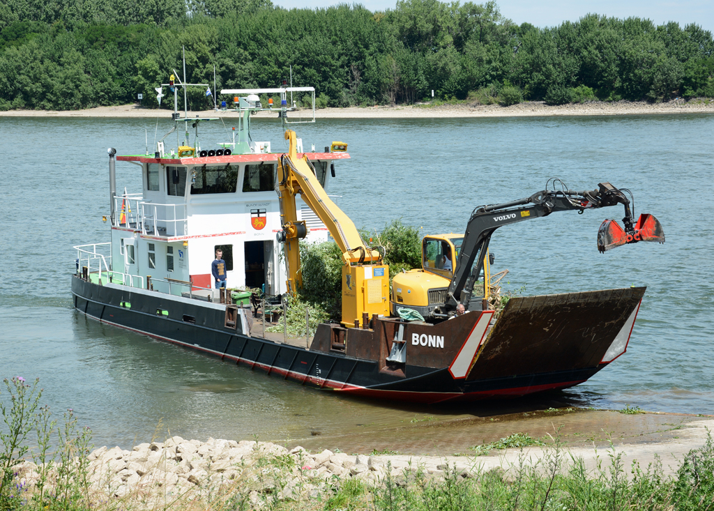 Die  Bonn  mit Volvo-Bagger legt vom Rheinufer in Wesseling ab -  23.06.2014