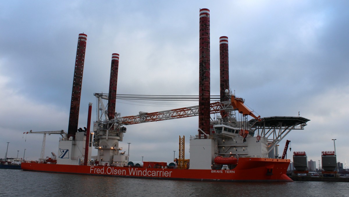 Die Brave Tern am 29.12.2013 im Hafen von Bremerhaven.