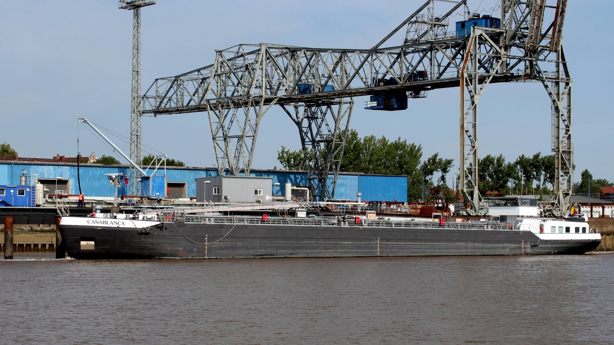 Die Casablanca am 15.08.2013 vor Nordenham auf der Weser.