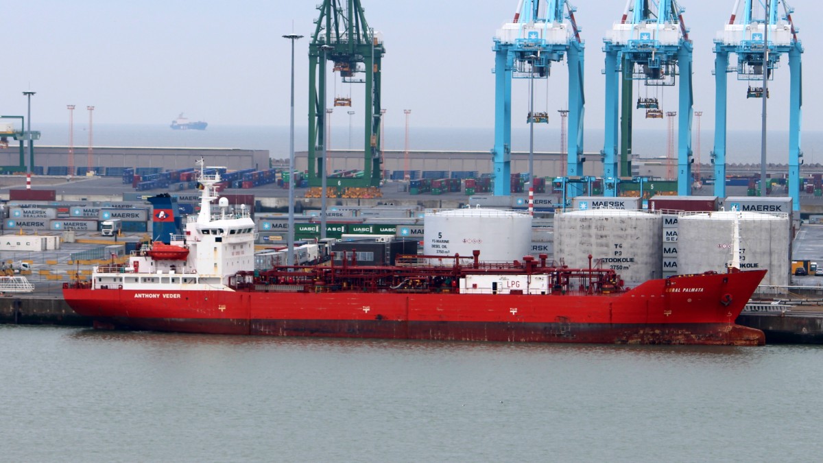 Die Coral Palmata am 22.04.2014 im Hafen von Zeebrugge.