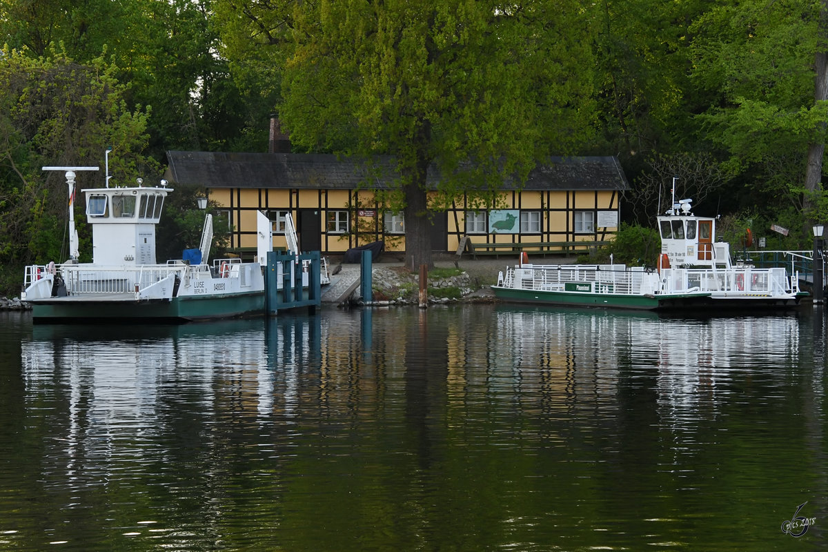 Die Fähren  Luise  (04809510) und  Pfaueninsel  (04810790) pausieren an der gleichnamigen Insel am Stadtrand von Berlin.