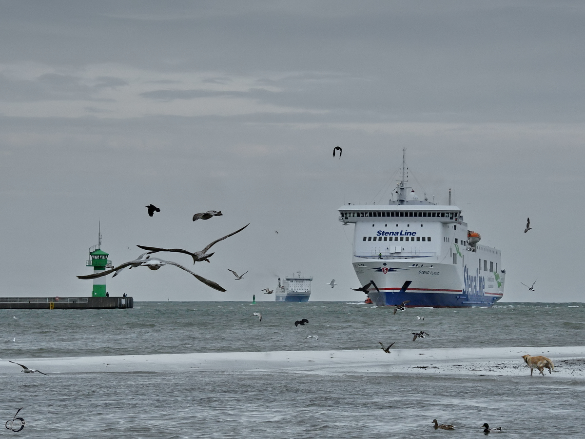 Die Fährschiffe STENA FLAVIA (IMO: 9417919) und FINNFELLOW (IMO: 9145164) sind hier im Mai 2023 bei eher bescheidenem Wetter in Travemünde zu sehen.