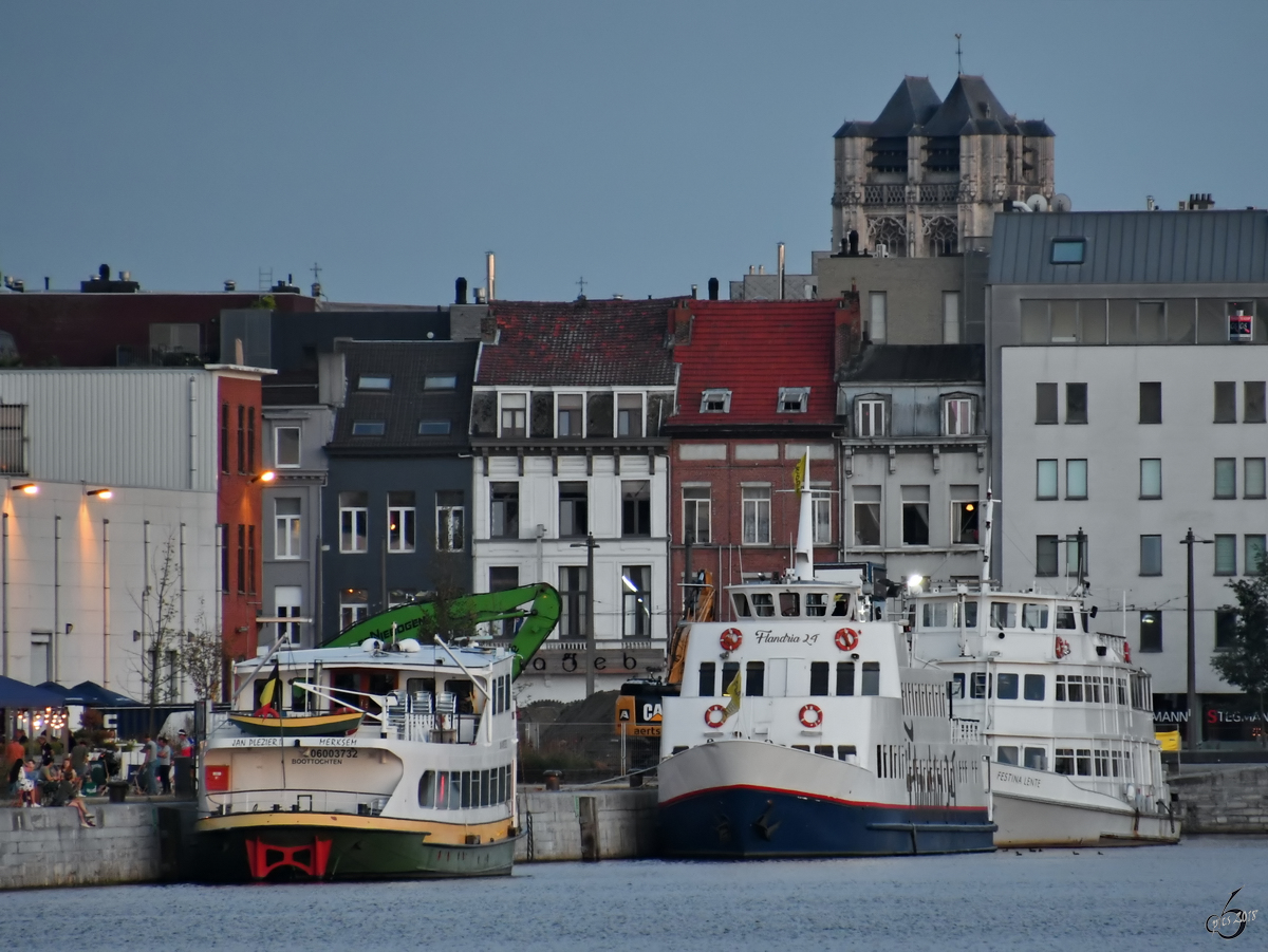 Die Fahrgastschiffe  Janplezier II ,  Flandria 24  &  Festina Lente  Ende Juli 2018 im Kattendijkdok Antwerpen.