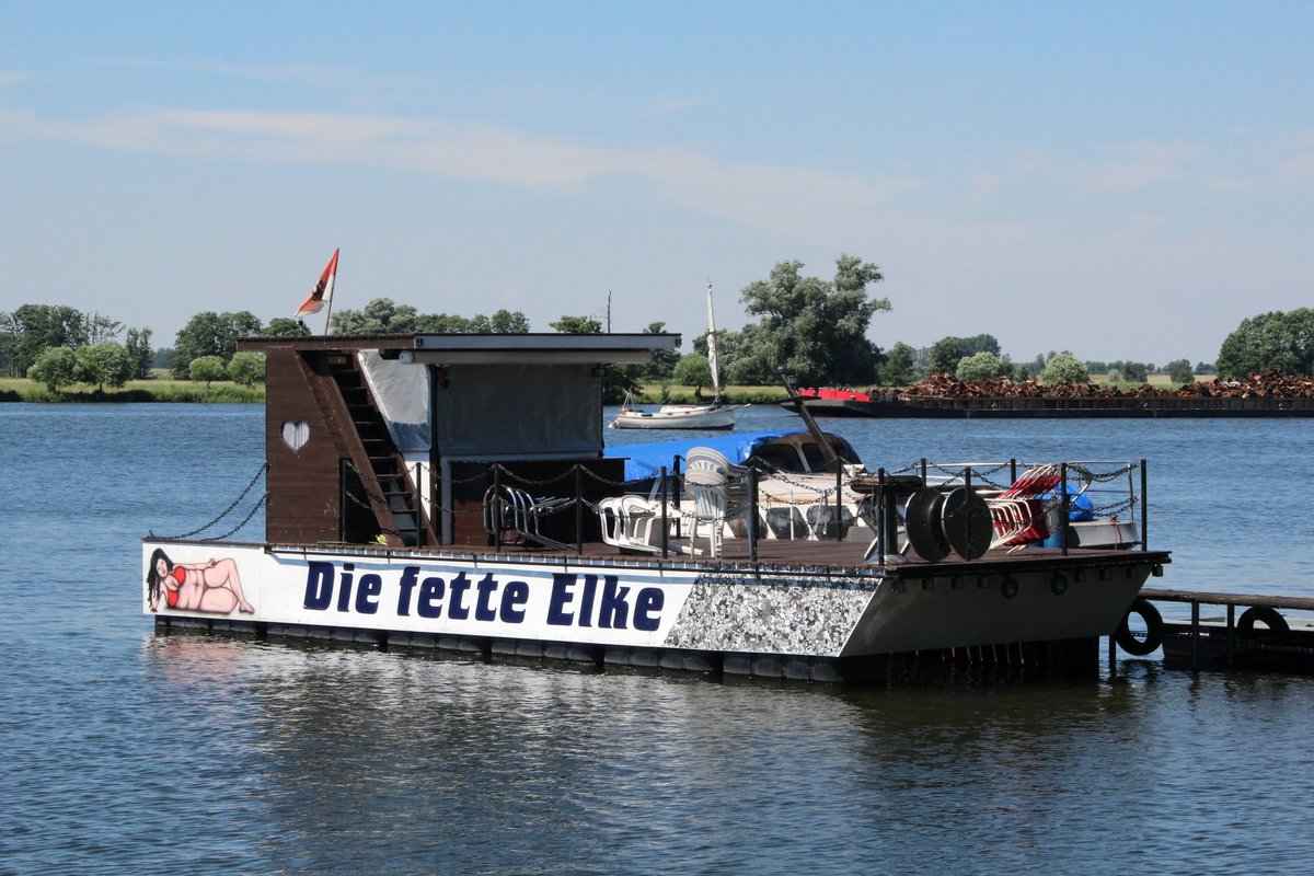 Die fette Elke lag am 23.06.2016 am Deetzer Knie / Havel.