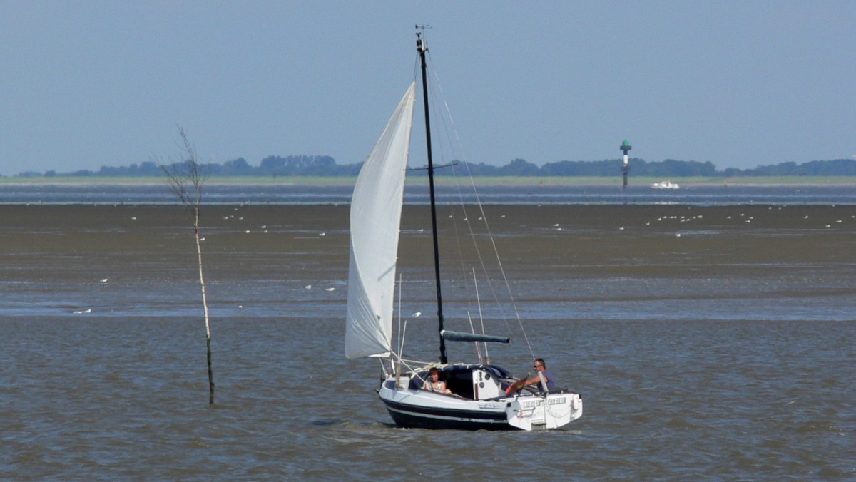 Die Flamingo am 14.08.2012 vor Fedderwardersiel.