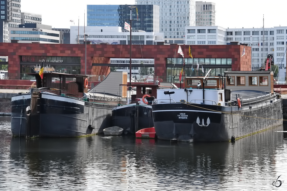 Die historischen Güterschiff  Liomar  und  Mondesir  Ende Juli 2018 im Bonapartedok Antwerpen.