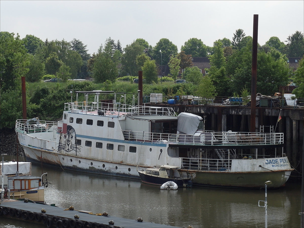 Die JADE PERLE, Wilhelmshaven ex MS WANGEROOGE (Baujahr 1960 Husumer Schiffswerft) in einem offenbar desolaten Zustand liegt seit 2011 im Finkenwerder Steendiekkanal; 27.05.2016
