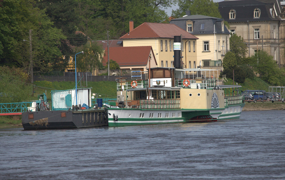 Die Kurort Rathen am linken Elbufer, vor Laubegast. 25.04.2018  10:39 Uhr.