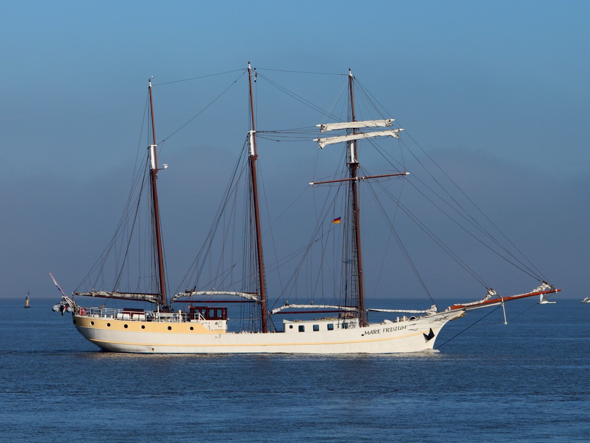 Die Mare Frisium am 04.03.2013 auf der Elbe vor Cuxhaven.